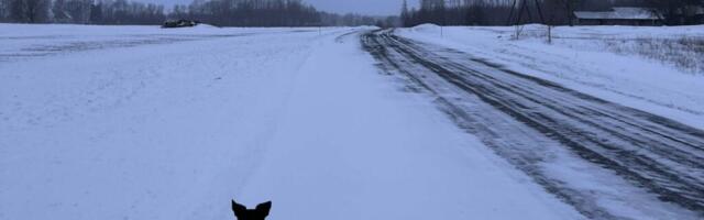 AHTO ILMAJUTUD | Lund tuleb veel juurde