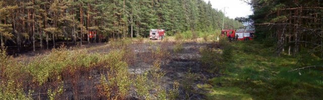 Vikipalu metsad päästeti tulekahjust