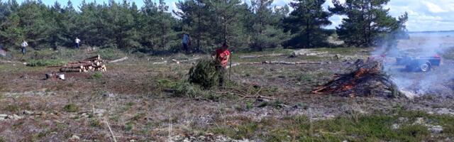 Eesti-Soome LIFE projekti käigus taastati Eestis ligi 180 hektarit looduskooslusi