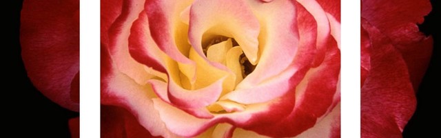 HUNT / New Mysterian – Split  (This & That Tapes, 2020)