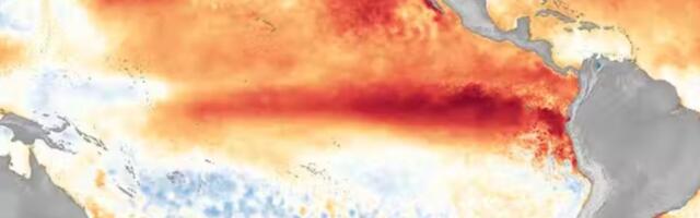 Chris Morrison: 2023. aasta "maailma põlemise" taga on El Niño, nagu juhtus ka 2016. aastal 