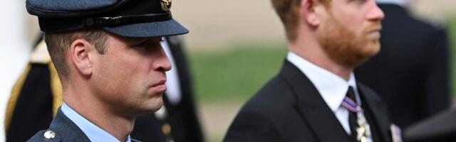 William on Harry peale kade? Vendade kisma võtab uusi mõõtmeid