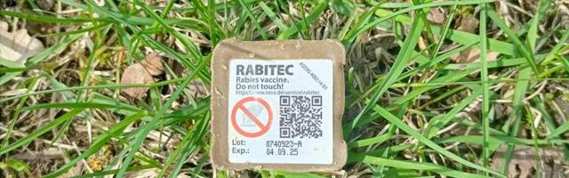 Algab metsloomade sügisene marutaudivastane vaktsineerimine