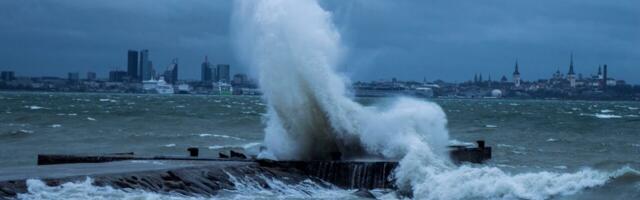 OTSEBLOGI | Torm rapib Eestit, Ida-Virumaal tihe lumesadu. Elektrita on üle 8000 majapidamise