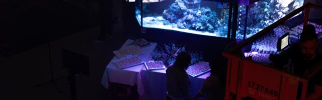 PILDID: AHHAAs avati Eesti suurim põgenemistuba