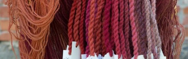 ERM-is avatud näitus jutustab loo looduslikest tekstiilvärvidest Eestis