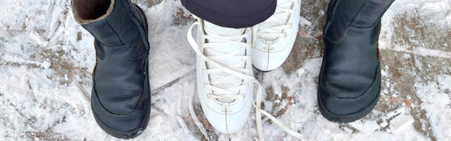 Risti kutsub uisudiskole