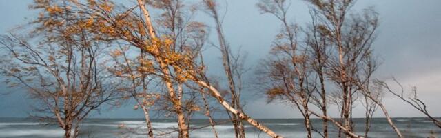 ILMATEADE | Tõuseb tugev tuul! Üle Eesti puhuvad tuuleiilid ligi 20 m/s