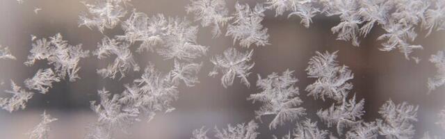 Talvel saavad Tallinna kodutud ööbida kahes öömajas