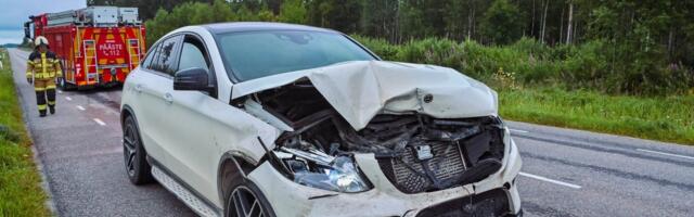 FOTOD | Järvamaal sai karu autolt löögi, inimesed õnnetuses viga ei saanud