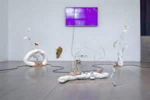 Põhja- ja Baltimaade noore kunstniku autasu läks Lätti