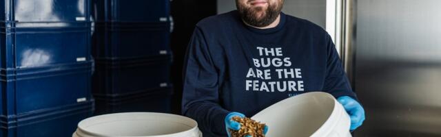 Toidujäätmed muutuvad kasulikuks: väikefirma plaanib rajada tõuguvabriku