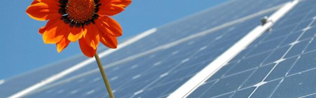 Ida-Virumaa liigub mitmekesise ettevõtluse arendamise suunas