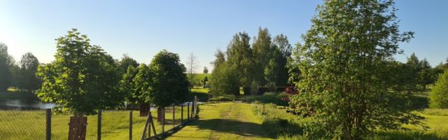 Chris Kala vlogi #14: Nõuanded, väljakutsed ja sisetunde kuulamine