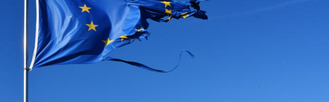 Alternatiiv Saksamaale soovib Euroopa Liidu asendada rahvaste konföderatsiooniga