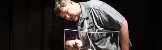 VILJANDI MUUSEUMIS NÄEB SALADUSLOORIGA KAETUD „NÕIAKIVI”