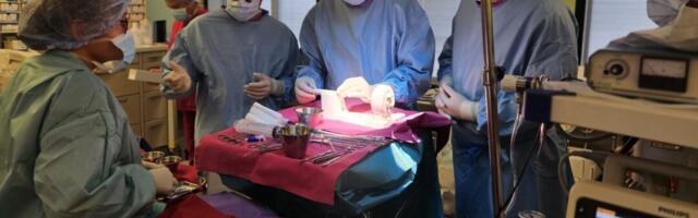 PERHis siirati esimest korda õmblusvaba aordiklapiprotees