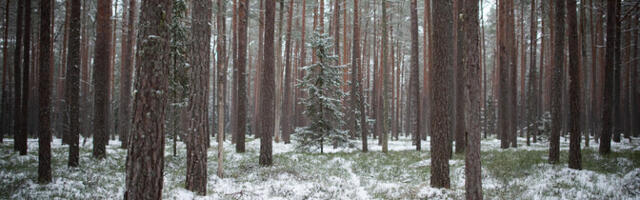 RMK nõukogu koondamist takistama ei hakanud