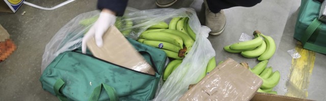 Poolas konfiskeeriti banaanilaadungist 160 kilogrammi kokaiini