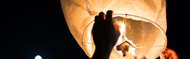 25. november: Lõvi soovid on jõuga laetud, Kaljukitse kammitseb hirm haiget saada