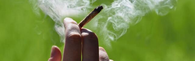 TAI: reovesi näitab tubakatoodete ja kokaiini tarvitamise tõusu Tallinnas