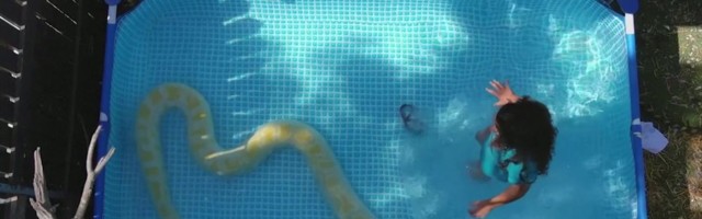 Reporter: Pöörane vaatepilt, mis võtab võõrad näost kaameks, kuid jätab pererahva rahulikuks