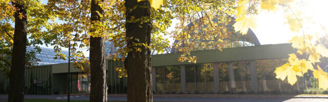 Tallinn otsib konkursiga Kadrioru pargile juhatajat