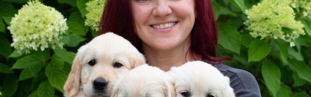 Esimest korda Eestis! Maalehe kutsikakaamera jälgib koerapoegade sirgumist reaalajas