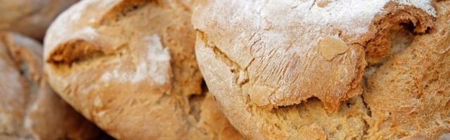 Ukrainlastest ilma jäänud Eesti Pagar värbas kohalikke