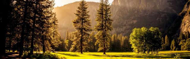 KUIDAS seljatada kevadväsimust