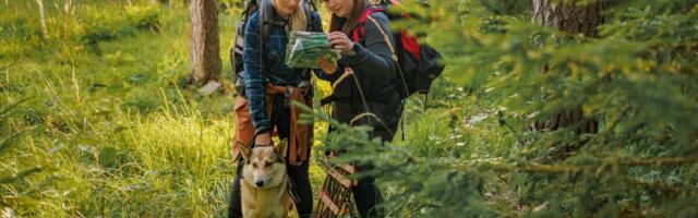 Metsarahvapäev toob järgmisel nädalal Eesti metsa üle 50 vabaõhuürituse