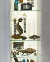 Kalve ülekuulamine raevanglas