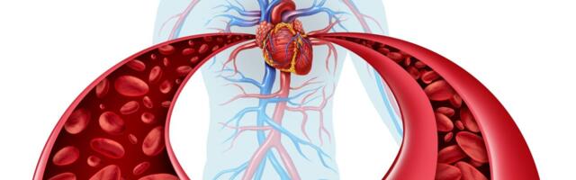 Kaitsmisele tuleb väitekiri arteriaalse hüpertensiooni levimusest ja kardiovaskulaarsest suremusest