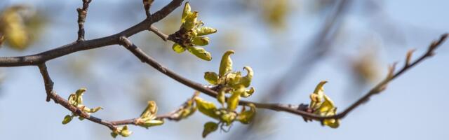 NÄDALA ILMAPROGNOOS | Ärge muretsege, peagi läheb jälle soojaks