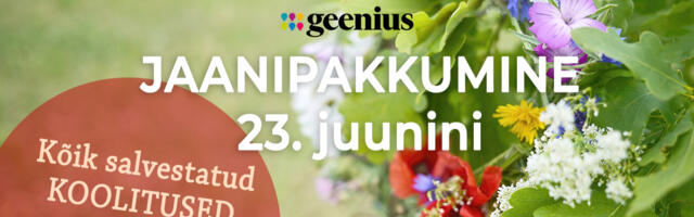 Jaanipakkumine! RMP koolituste salvestised -30%