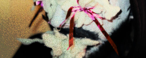 Kxster – plushviolence (Shelter, 2026)