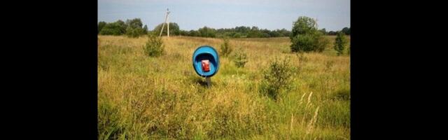 Огород на подоконнике: почему удалёнщики мечтают переехать из мегаполиса