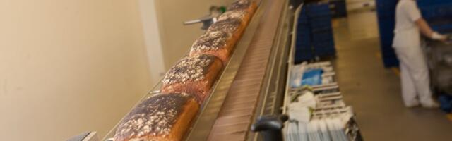 Leivaturg kahanes, kuid suurtootjad kasvasid: eelise andsid eksport ja külmutatud tooted