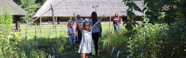 Самобытная жизнь в Эстонском музее под открытым небом Самобытная жизнь в Эстонском музее под открытым небом