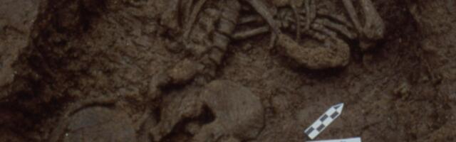 Teadlased töötasid vanade inimjäänuste jaoks välja rasedustesti 