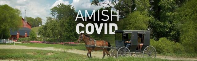 Kuidas amišid koroonaga toime tulid ilma piirangute, testide ja vaktsiinideta