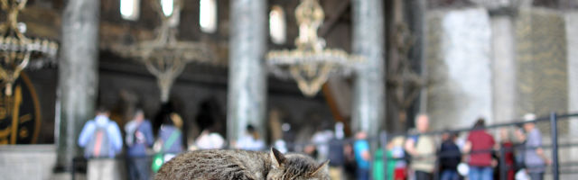 Hille Hanso. Hagia Sophia püha tarkus endiselt päevakorras