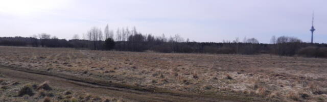 Andres Jaanus: Viimsimaa, nii kallis oled sa…