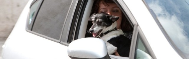 VIDEO | "Istmesoojendus": lahtiste autoakentega sõitmine võib tappa