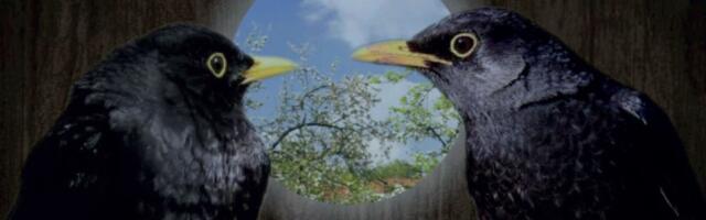 1-minutilifilmid teemal “Loovus vs loodus” läksid töösse