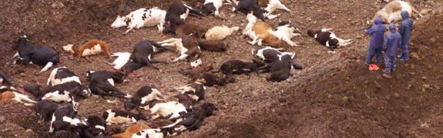 Janne Orro: meil ei ole vaja järgmist kohvris kaasa toodud loomataudi