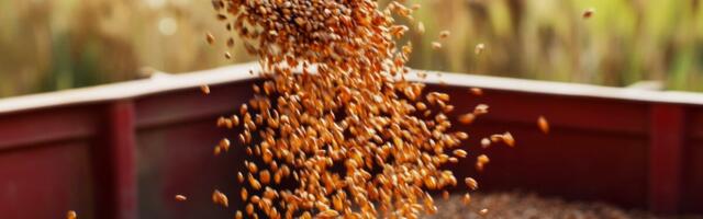 Nisu ja taimeõlid vedasid toiduhinnad tõusule