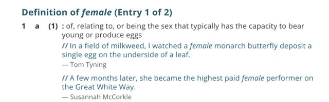 Merriam-Websteri sõnaraamat kuulutas naisteks ennast naiseks pidavad mehed