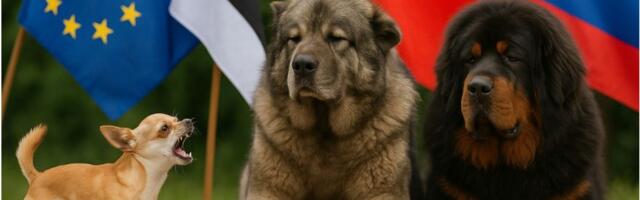 Kallase sõjahullus: EL tahab kõigepealt Venemaad ja seejärel Hiinat alistada