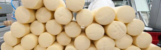 Mis E-Piimal valesti läks? Üks Euroopa moodsamaid juustutehaseid on juba pankrotis